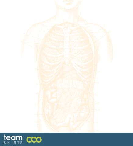 Anatomical body