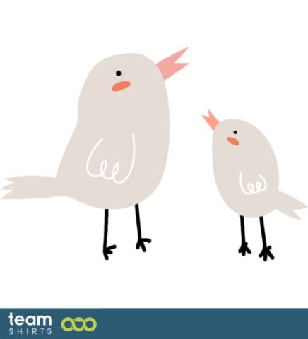 birds