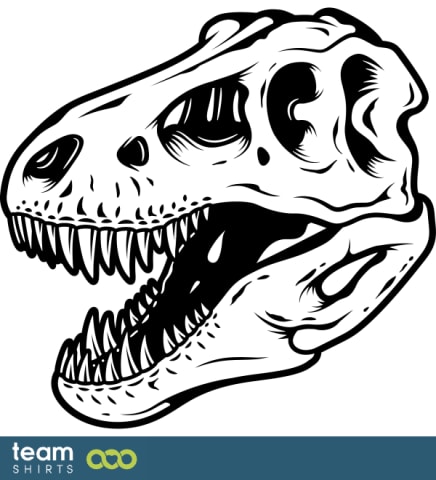 Dinosaur skull