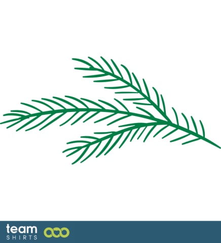 fir branch
