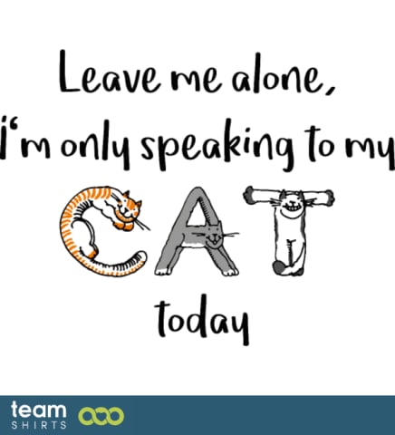 Leave me alone I am only speaking to my cat today