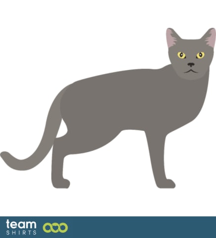 06 cat vectorstock 10334020