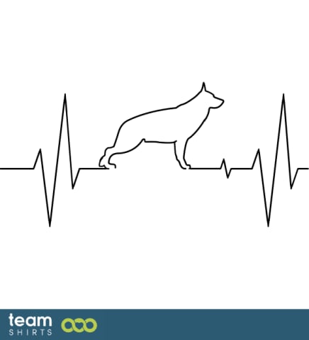 ECG dog
