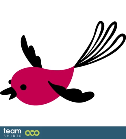little bird