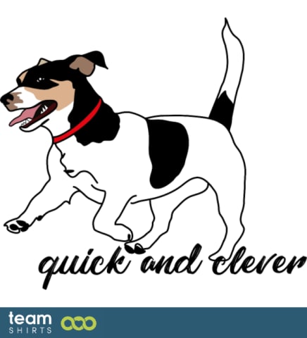 jack russel terrier