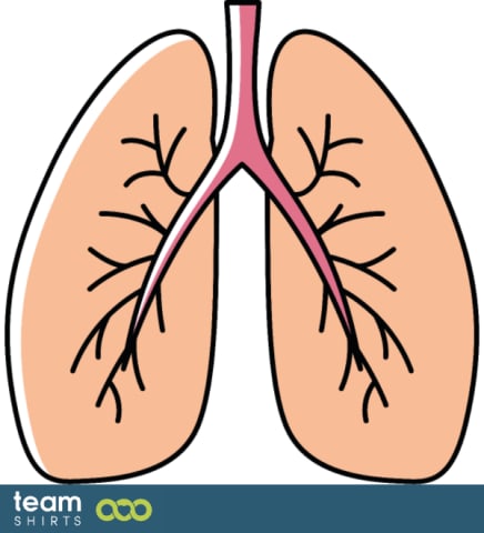 Lungs