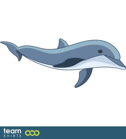 dolphin