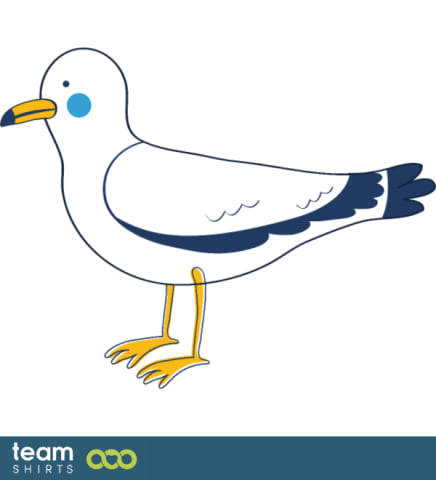 seagull