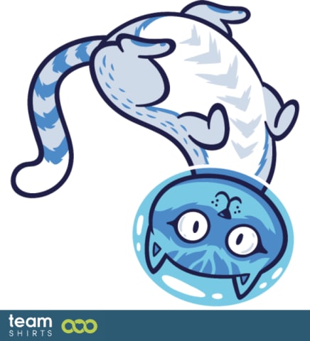 Space cat