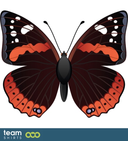 Red admiral