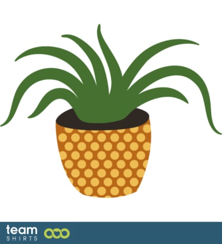 indoor plant