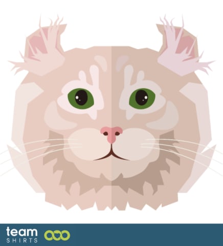 white cat