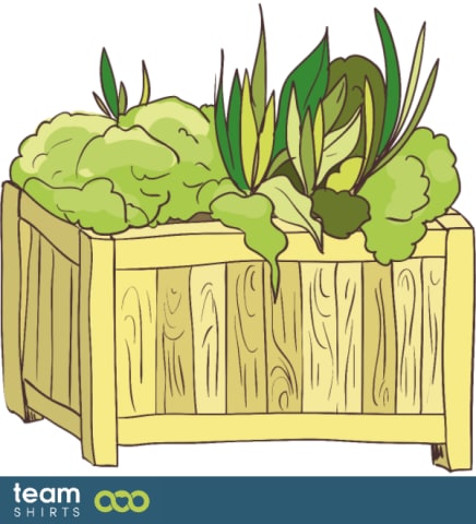 vegetable bed