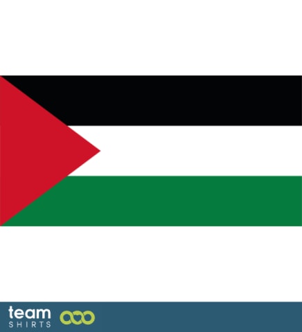 flag palestine