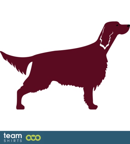 Animals vectorstock 9478018 all model series: show dog 002 hunting dog