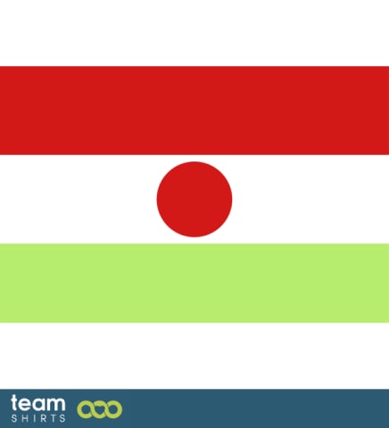 flag niger