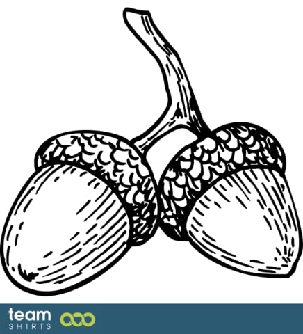 Acorn