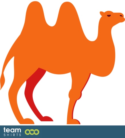 camel