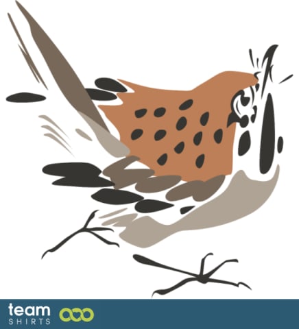 sparrow