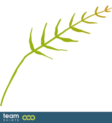 Branch