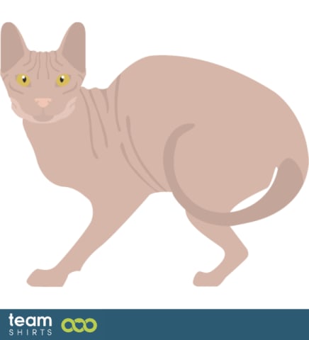 09 cat vectorstock 10334020