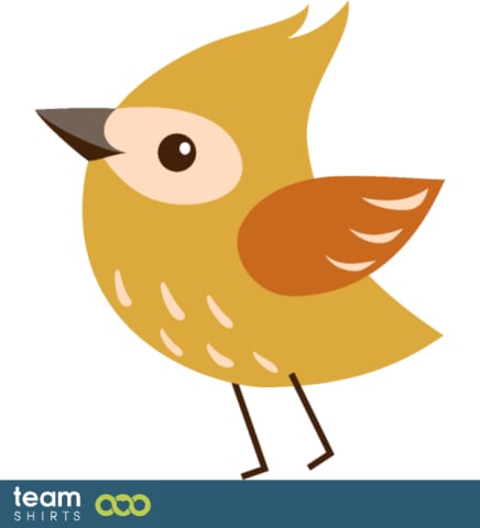little bird
