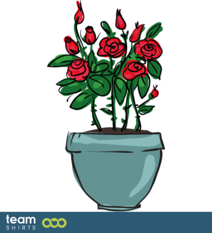 indoor roses