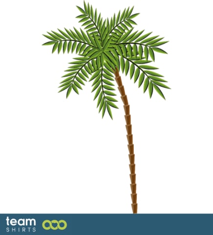 palmtree