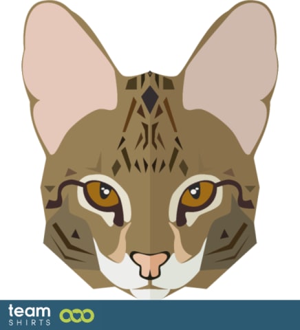 Cat face