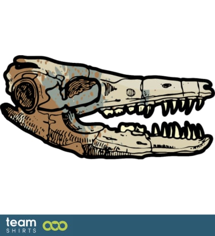 crocodile skull