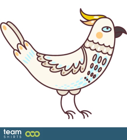 bird