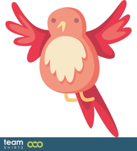 little bird