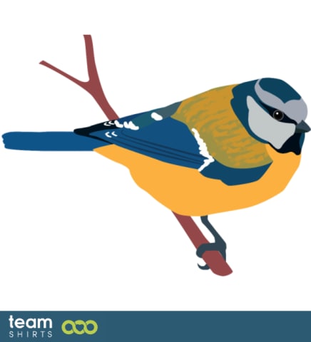 tomtit