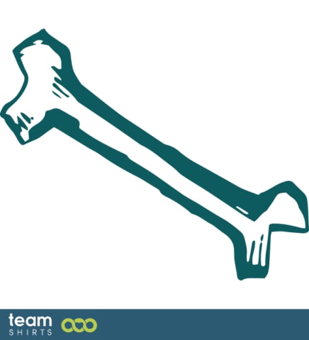 arm bone