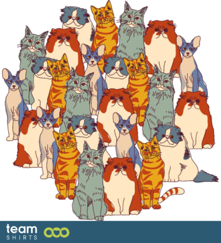 cat bunch
