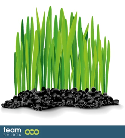 Grass