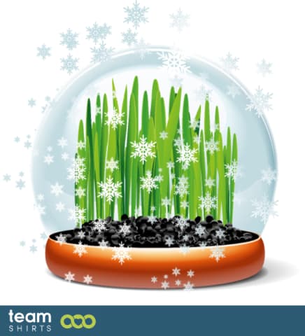 Grass in snow globe
