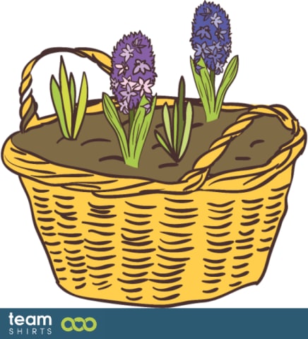 Hyacinth