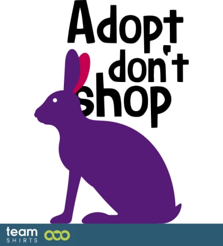 Adopt don't shop Bunny