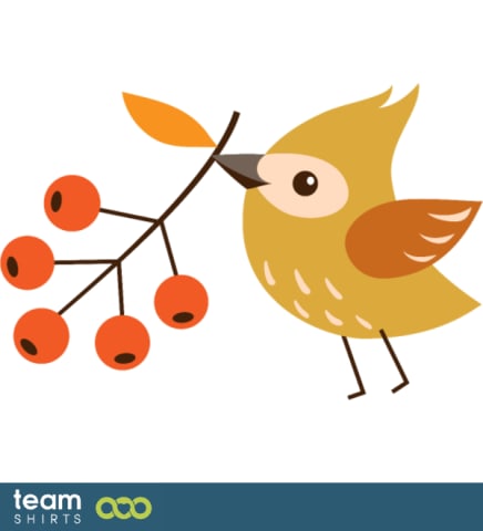 little bird