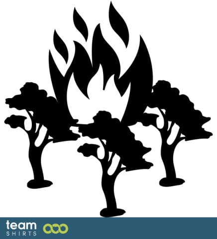 Forest Fire