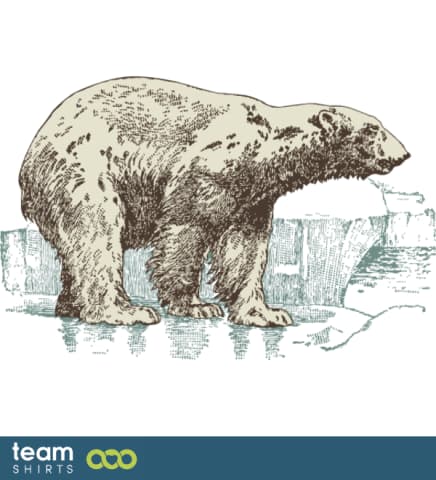 Polar bear