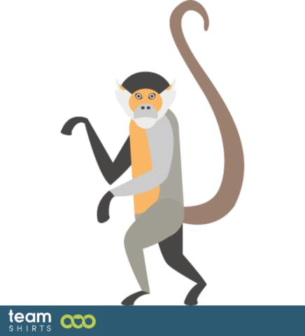 Squirrel monkey