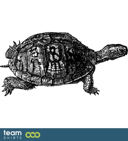 turtle