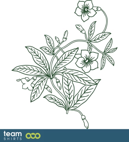 grass plant
