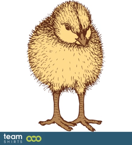 Chick