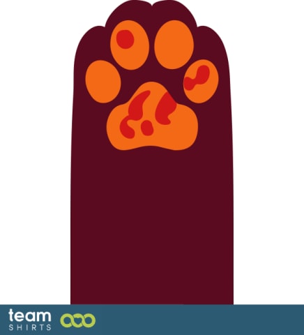 cat paw