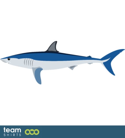 shark