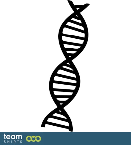 DNS spiral