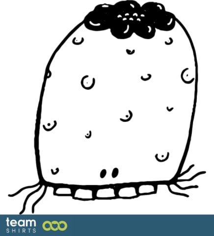 Weird animal